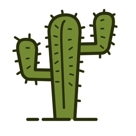 The original green cactus drawing used throughout this overview